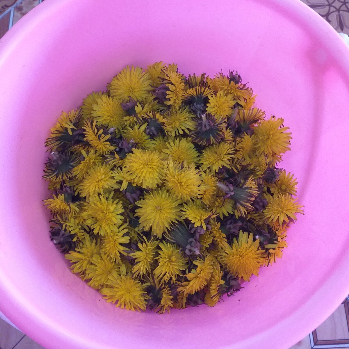 Сорванные корзинки быстро закрываются, но это совсем не страшно.