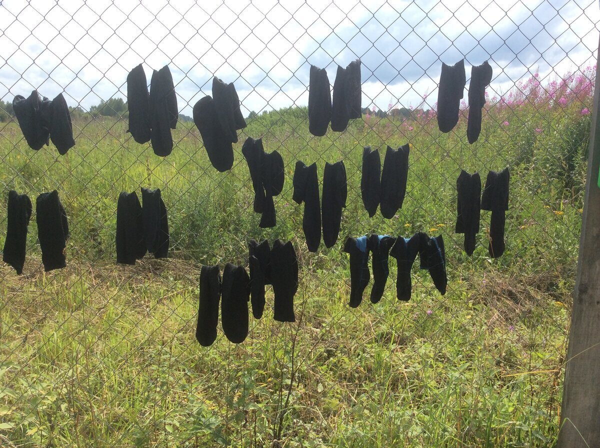 Носки на сетке рабице)