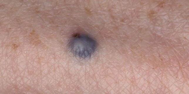 фото из свободных источников