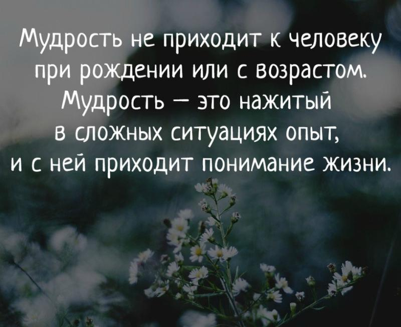 Мудрость жизни. Мудрость цитаты. Мудрость приходит с опытом. Премудрость цитаты.