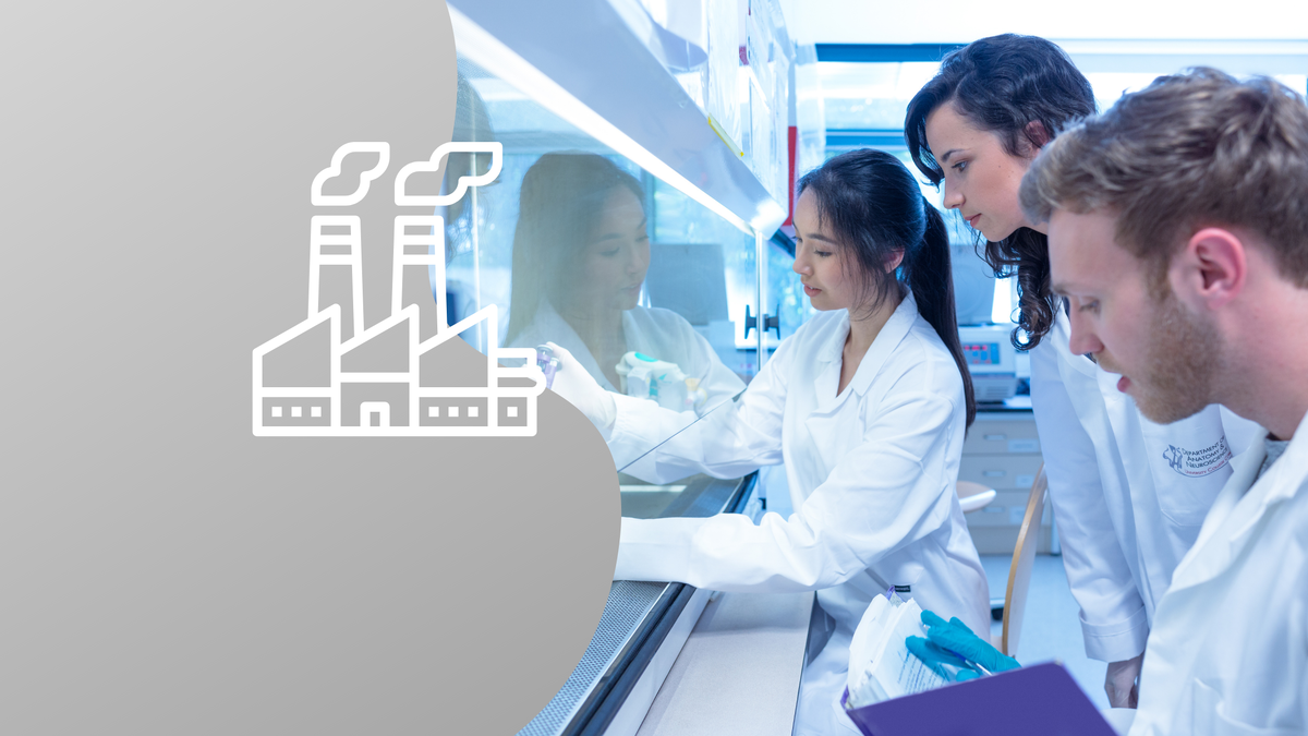 Коллаж: медиацентр УрФУ