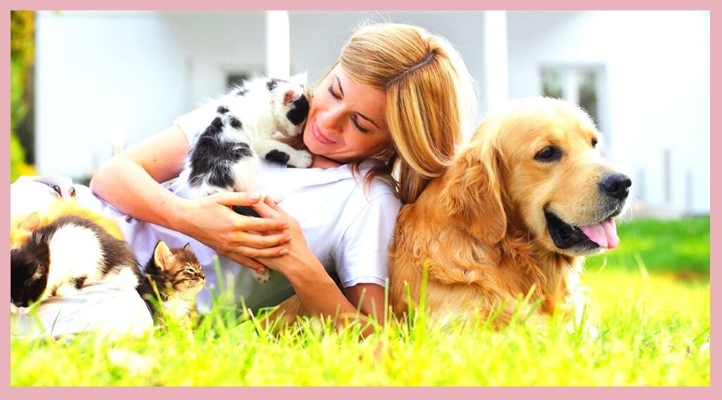 Идеальный ситтер