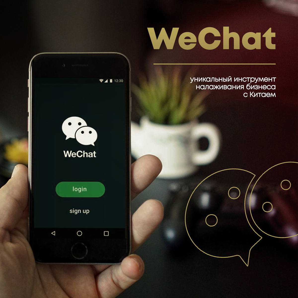 WeChat - уникальный инструмент налаживания бизнеса с Китаем | Перевозки и  ВЭД AsiaImportGroup | Дзен