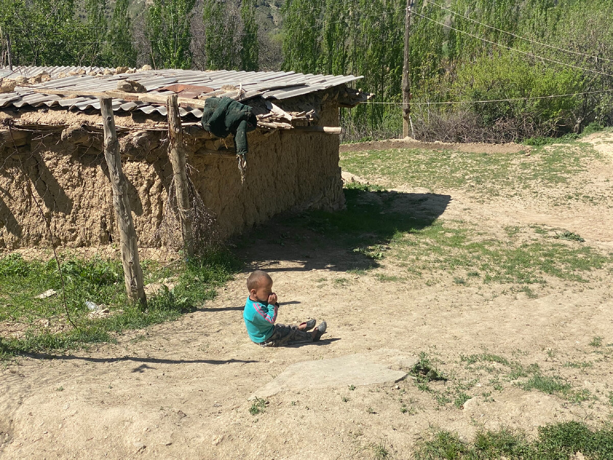 Фото: новые типовые дома, построенные в Узбекистане