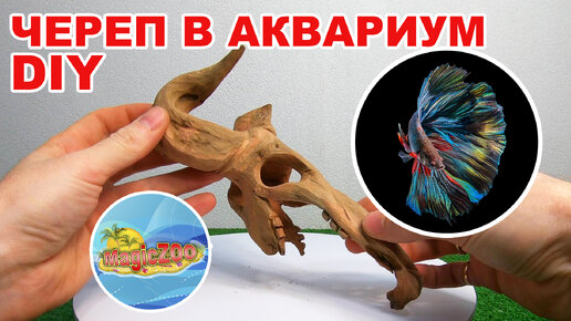 Декорация череп примата Exo Terra Primate Skull