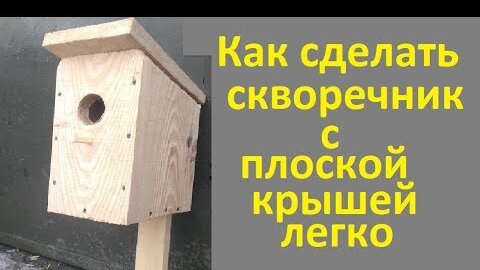 Как сделать кормушку для птиц и подключить к ней видео