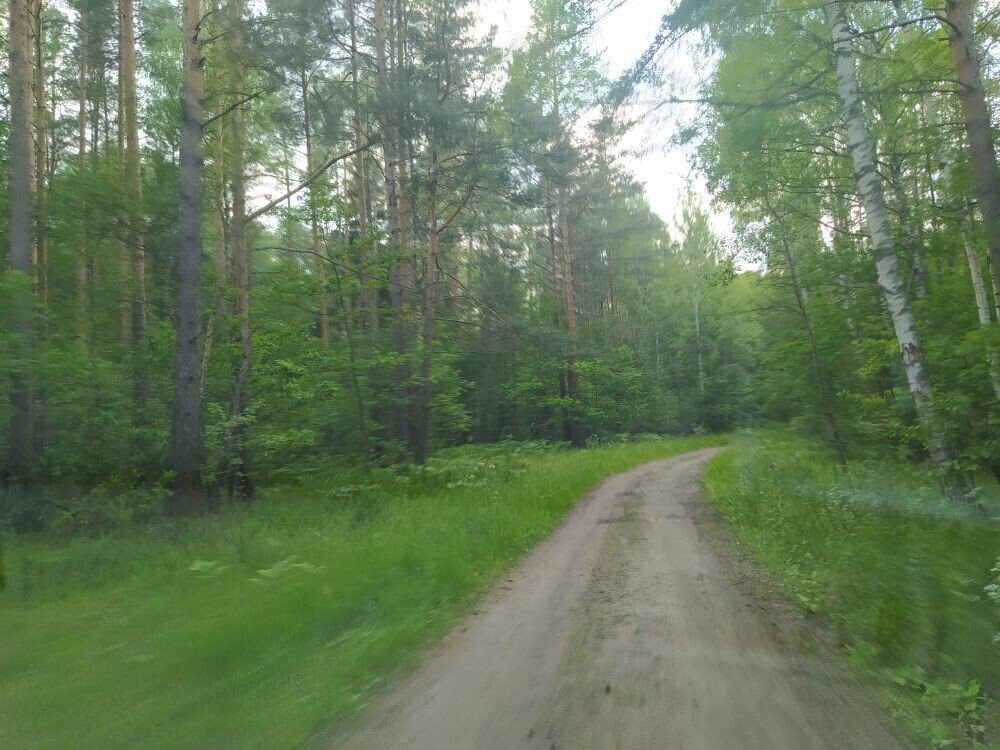 Шушмор