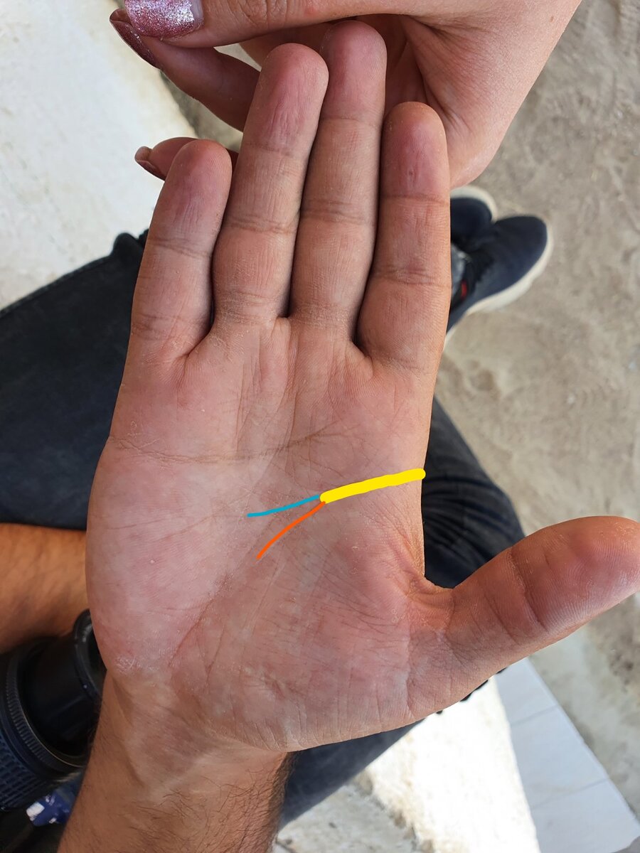 Долго идут вместе линии