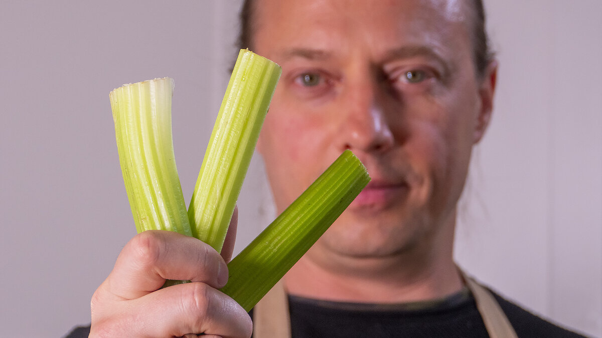 Стебель сельдерея