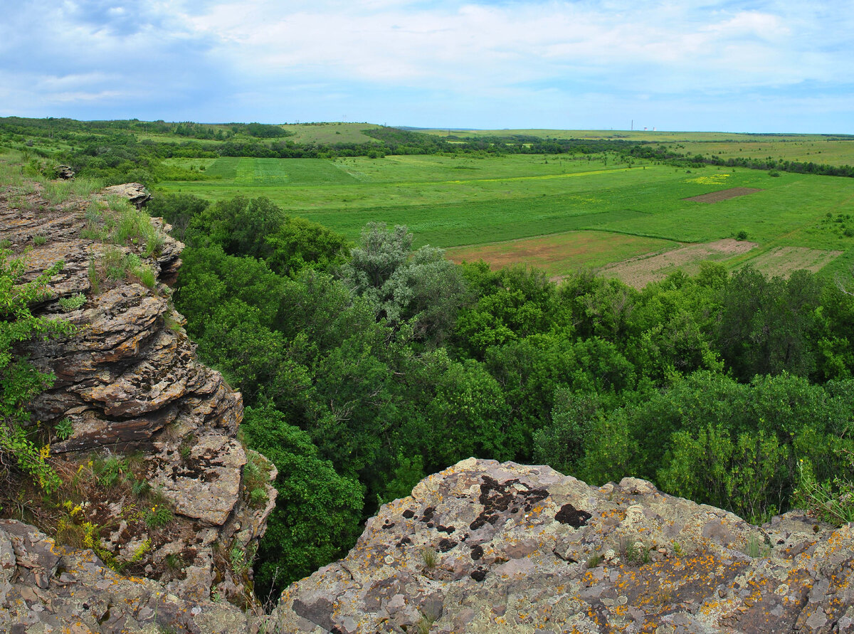 Парк донецкий кряж