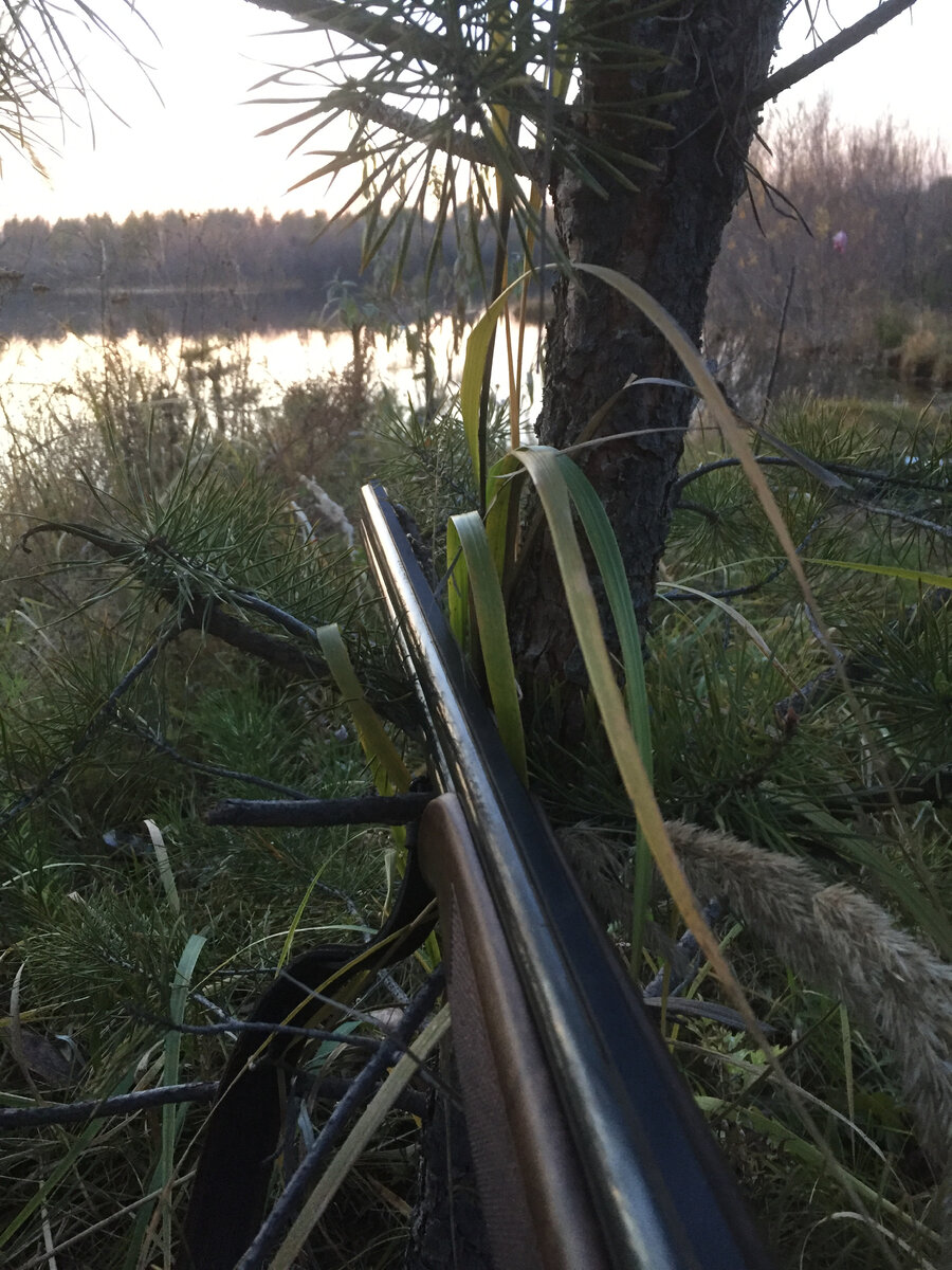 Условия службы охотничьего ружья далеки от идеальных. Сохранить внешний вид поможет масло и пропитка для дерева