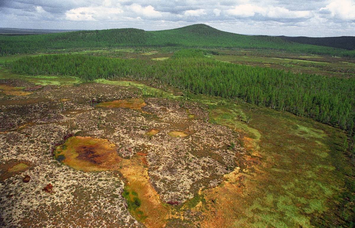 Фото Владимир Медведев /ТАСС. Место падения Тунгусского метеорита 