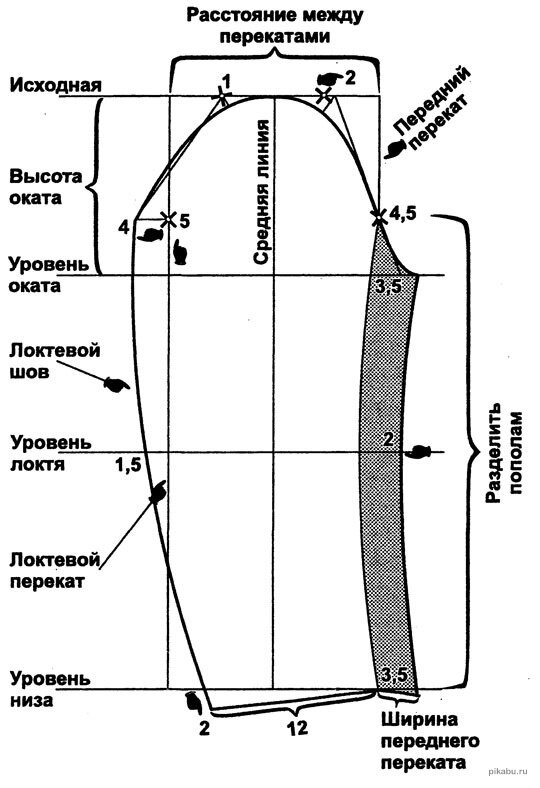 Ширина уровней. Детали кроя двухшовного рукава. Части рукава. Наименование срезов и линий рукав. Детали кроя спинки пальто.