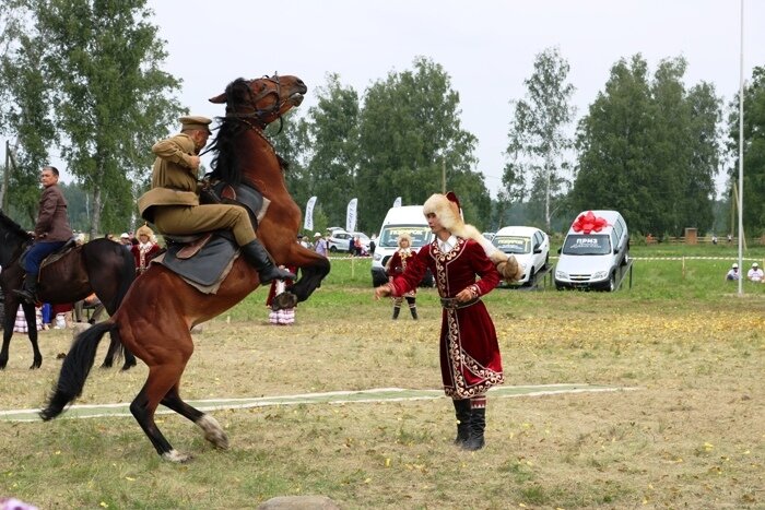 Показательный номер на коне.