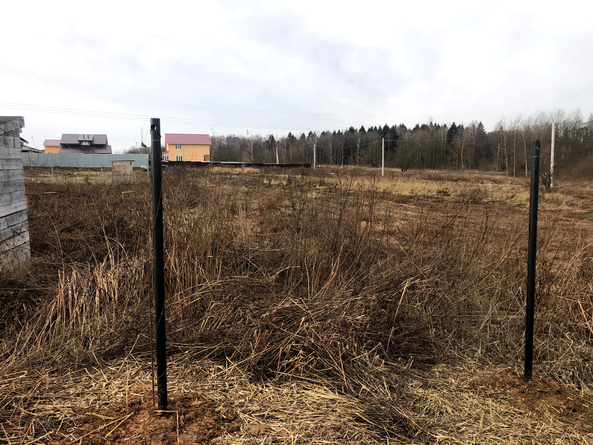 Экономично и просто: сваи выступают и в роли основания, и в качестве столбов