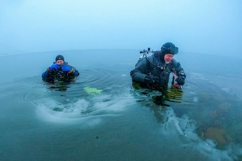Фото: Татьяна Клименко, Роман Воробьёв 