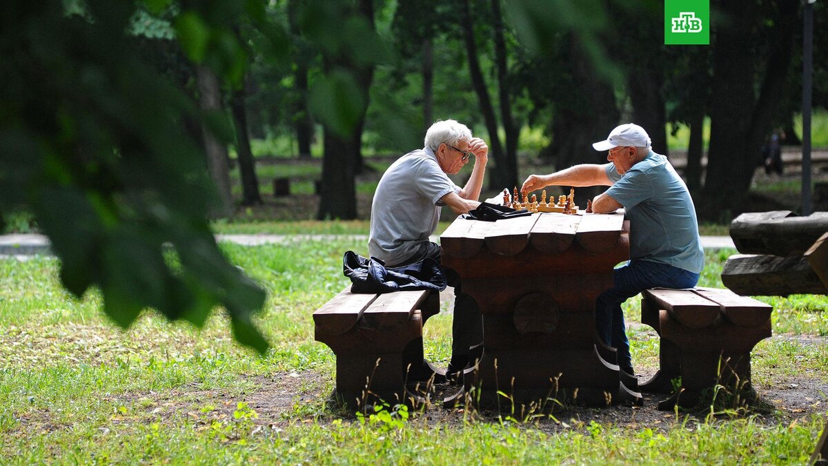    Фото: РИА Новости © 2022, Алексей Сухоруков