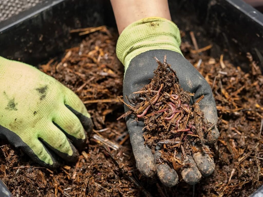 Фото взято с rambler.ru