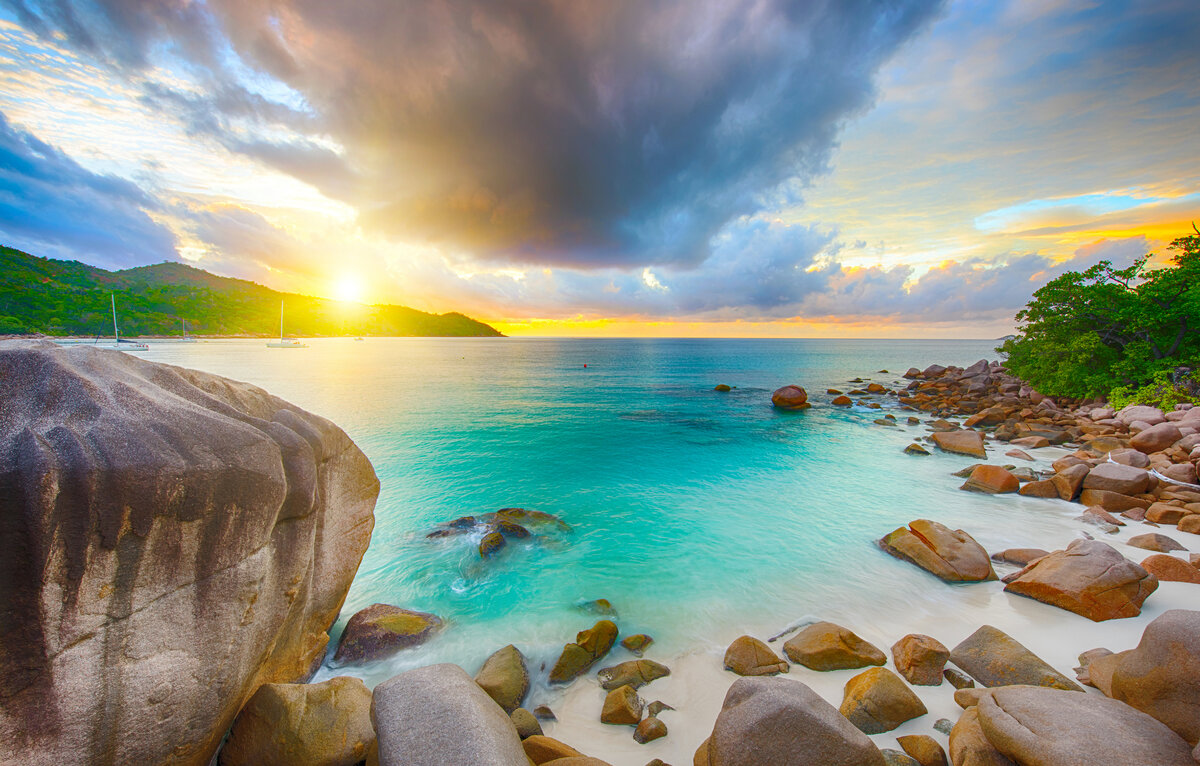 Фото: shutterstock