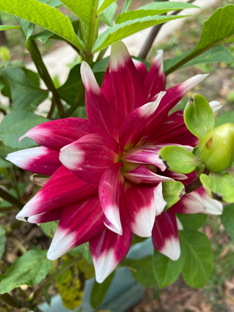 Фото: womazine.ru