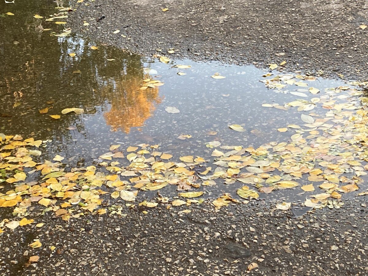 Фото мужа автора 