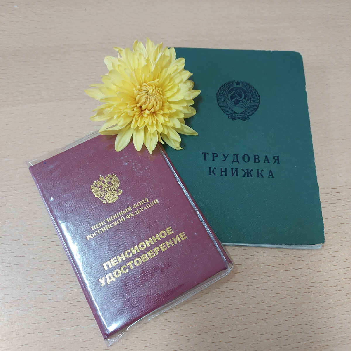 Два моих важных документа.