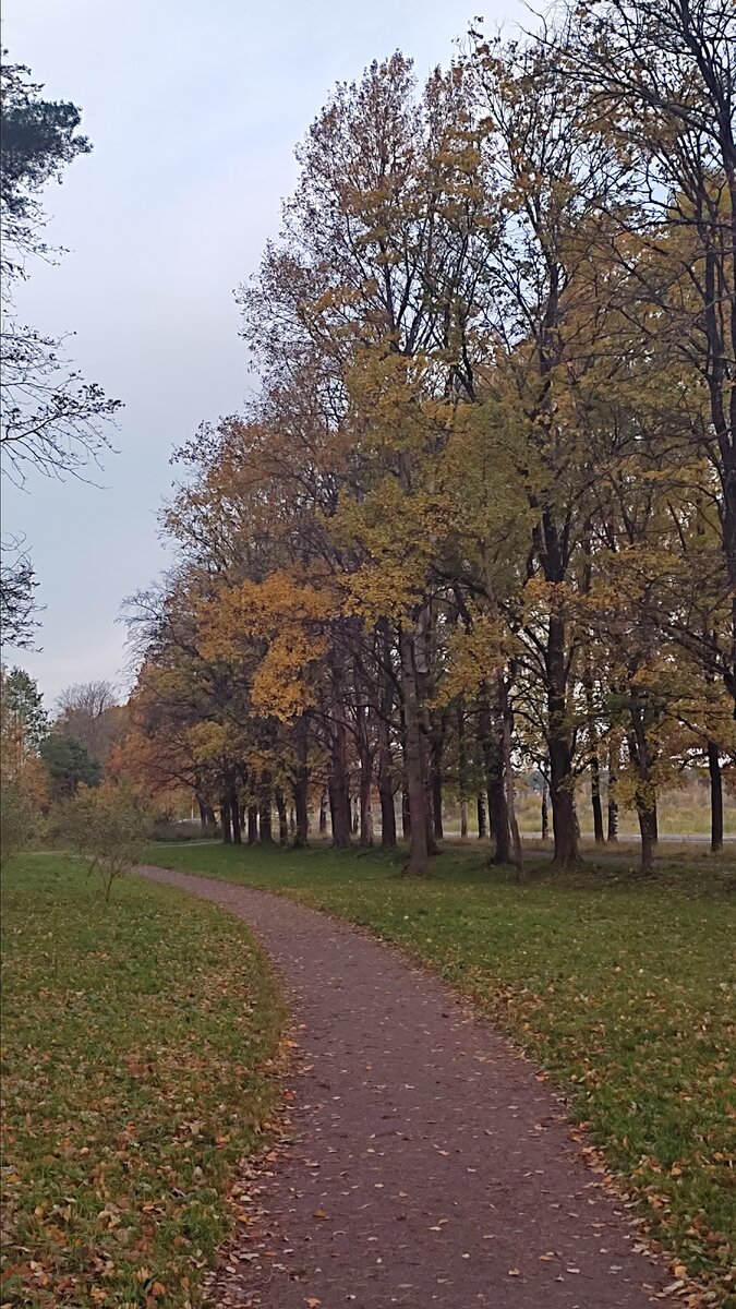 Фото от автора канала "Записки пофигиста". Осенний парк в окрестностях города Санкт-Петербурга.
