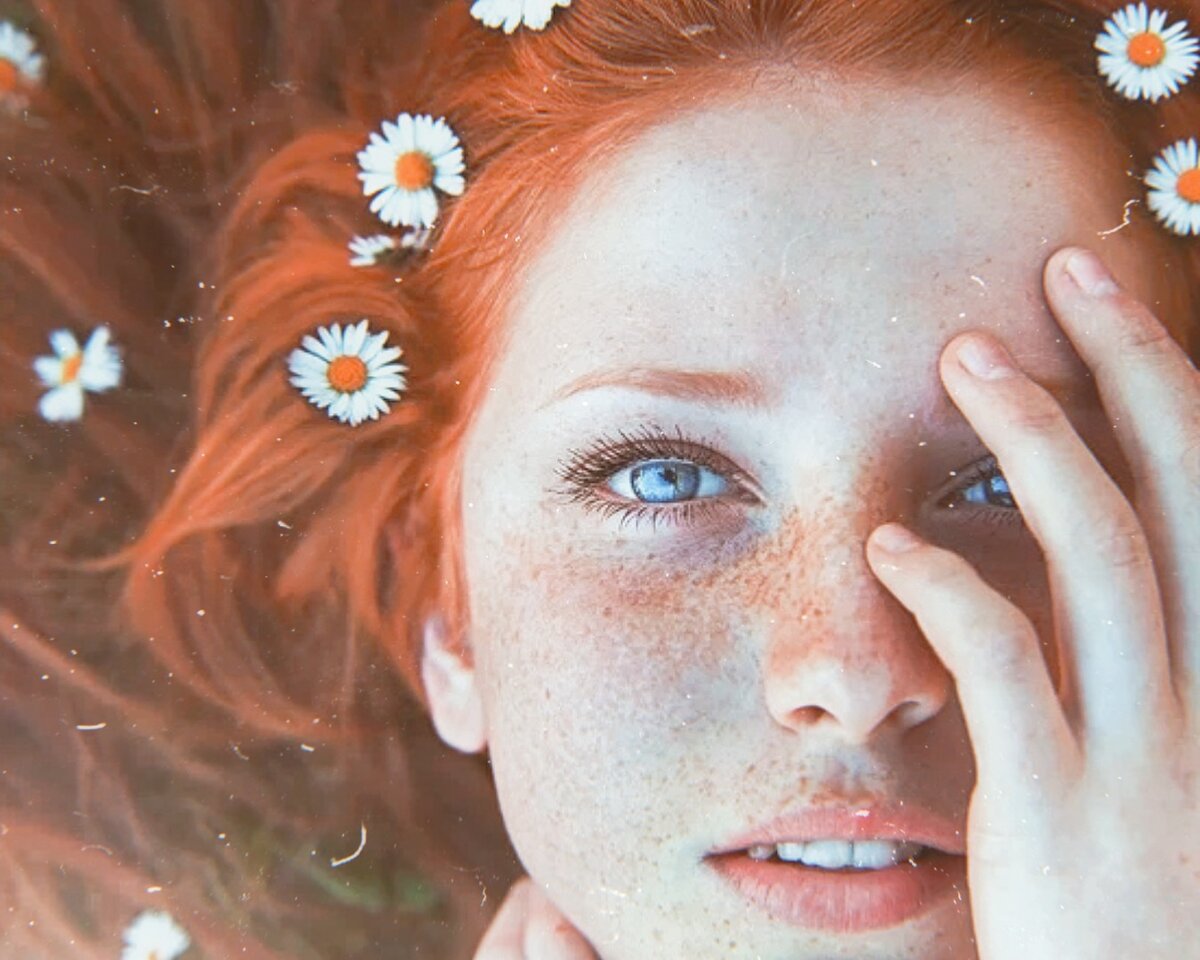 Яндекс Картинки