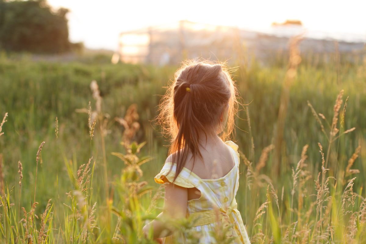 Источник Яндекс Картинки