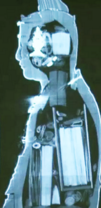 фото предметов внутри статуи