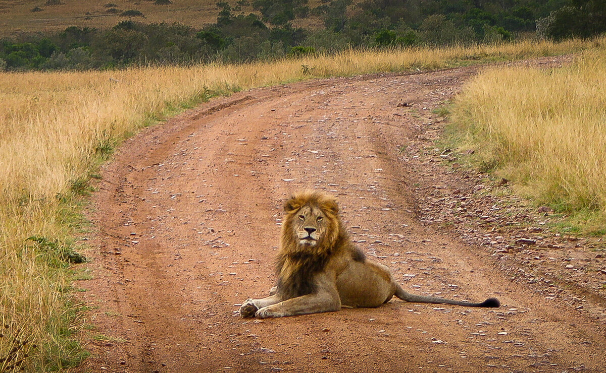    Новый год в Африке. Сколько это стоит и куда можно поехать