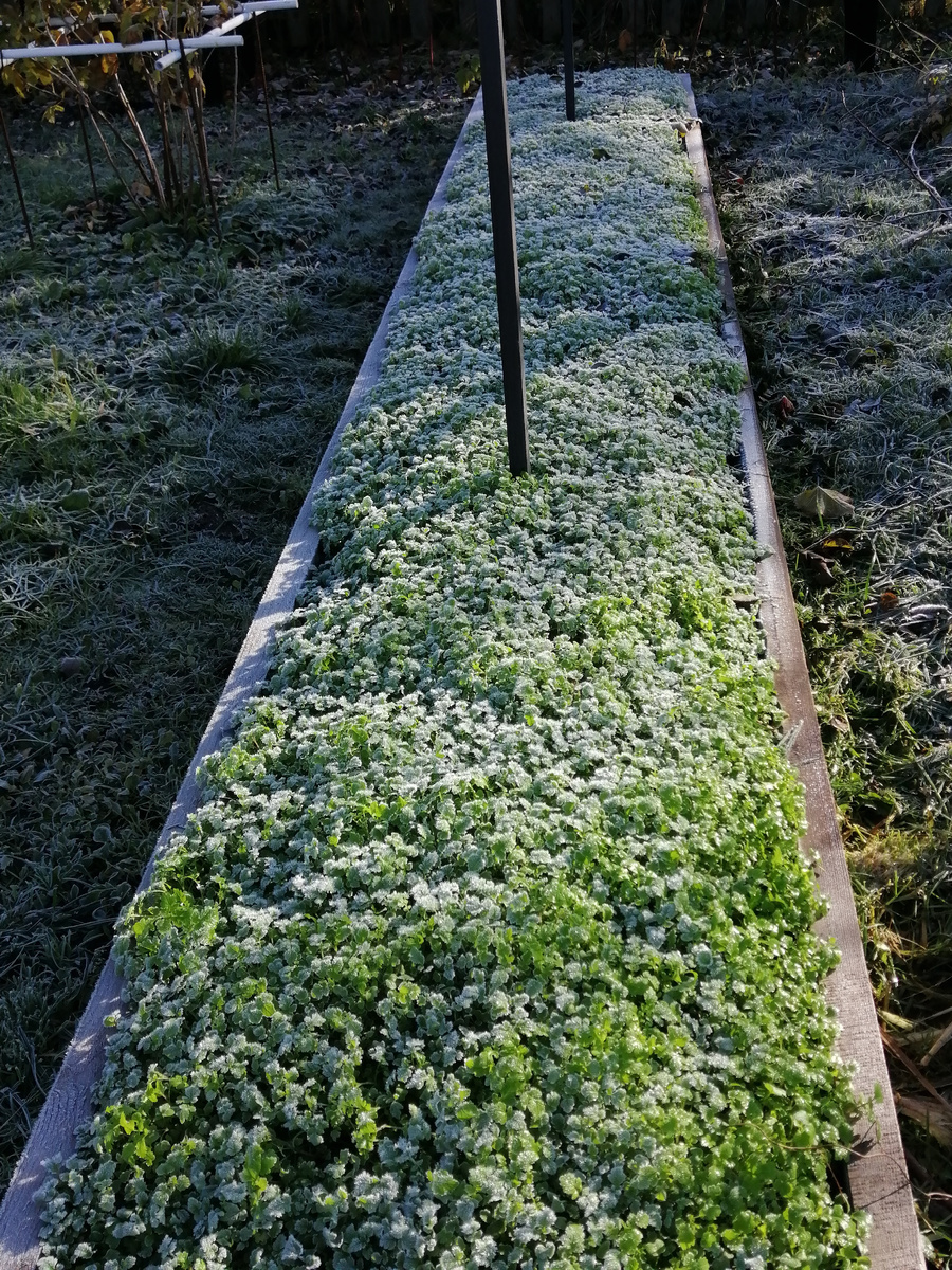              =   ЛИСТАТЬ   =