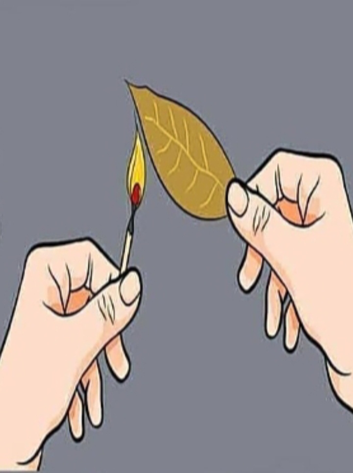 Если сжигать лавровый лист дома,то вы станете лучше себя чувствовать,исчезнет бессонница,усталость,тревога,неприятный запах в квартире,сырость. Меньше будите болеть.