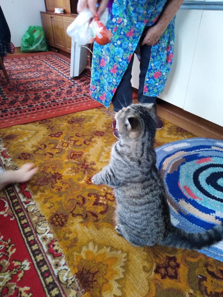 Булочка в новом доме 