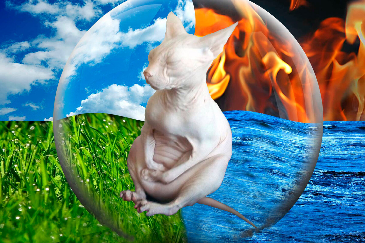 Бесплатные уроки по аутотренингу на канале "Реальные истории и мистика"