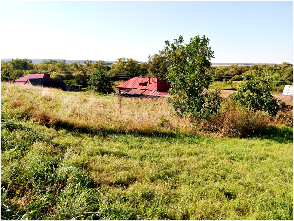 Село николаевка