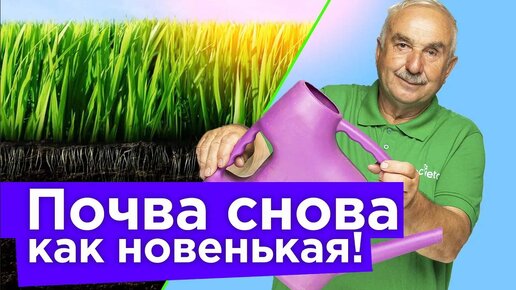 Вот чем пролить почву после томатов, огурцов, картошки, чтобы стала снова здоровой и плодородной!