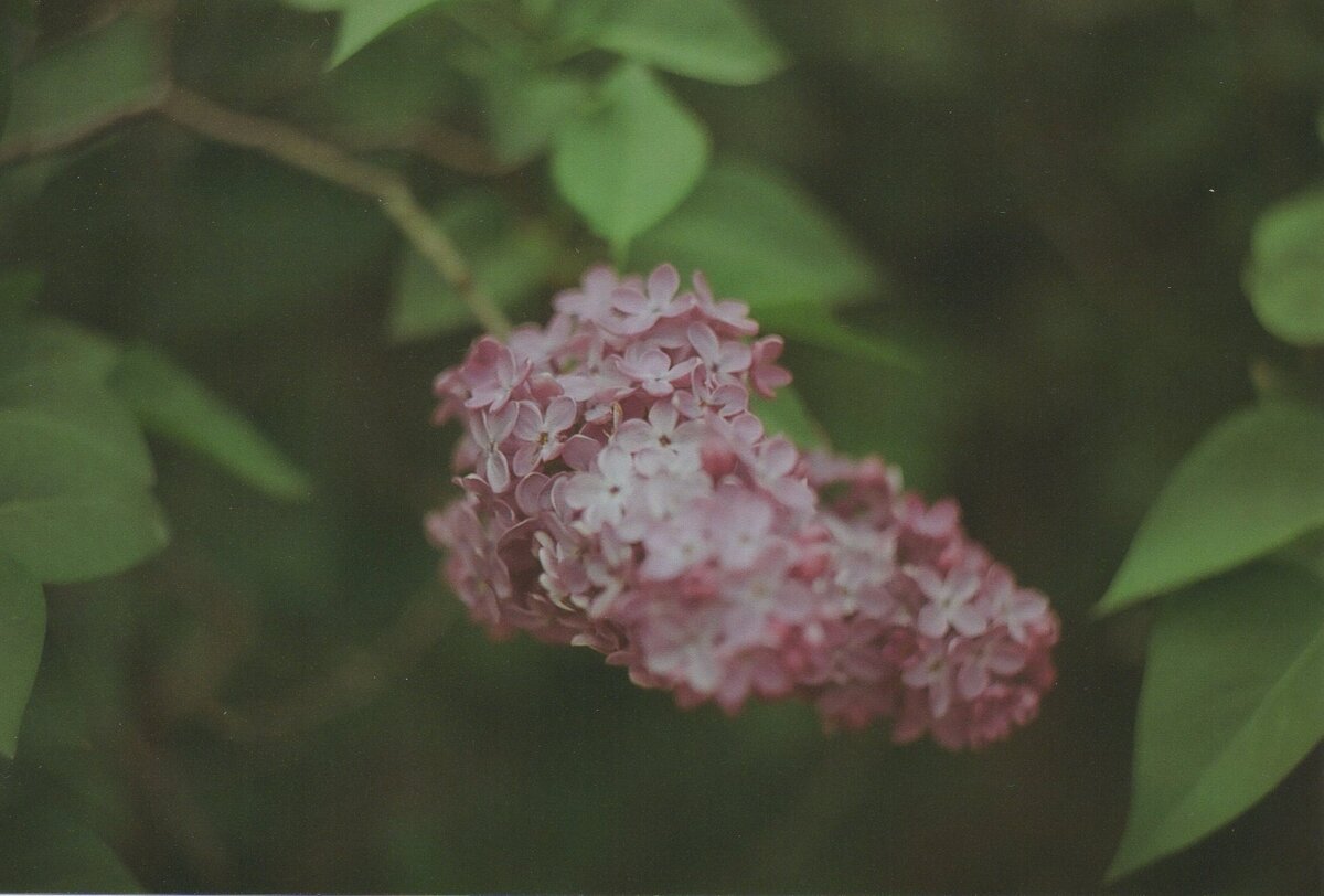 Листайте галерею, чтобы увидеть больше фотографий.