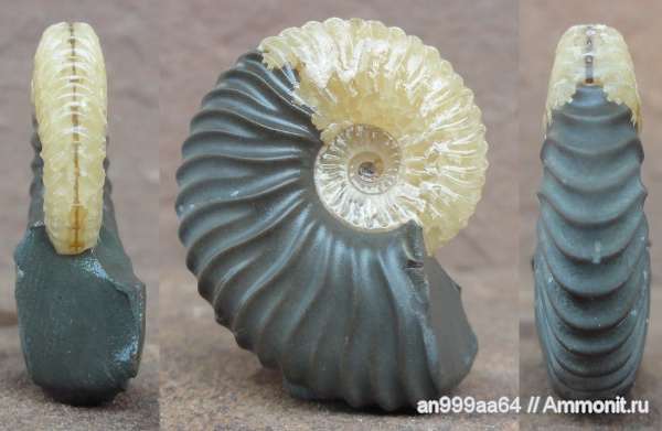 Ещё один кальцитовый дешайеситес от an999aa64  