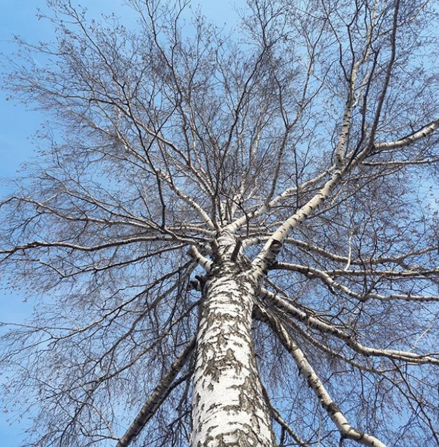 Фото: инстаграм anghel