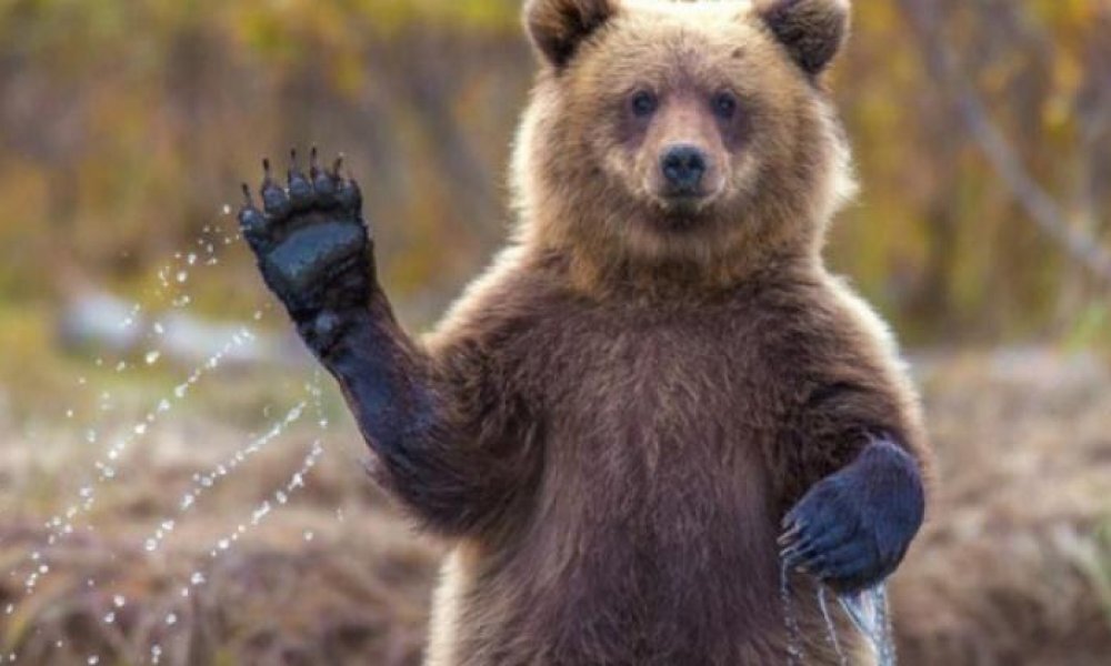 Источник: https://www.block-chain24.com/sites/default/files/styles/full_bg/public/img/ayi-3pon1v6d.jpg?itok=jYY7U5zS