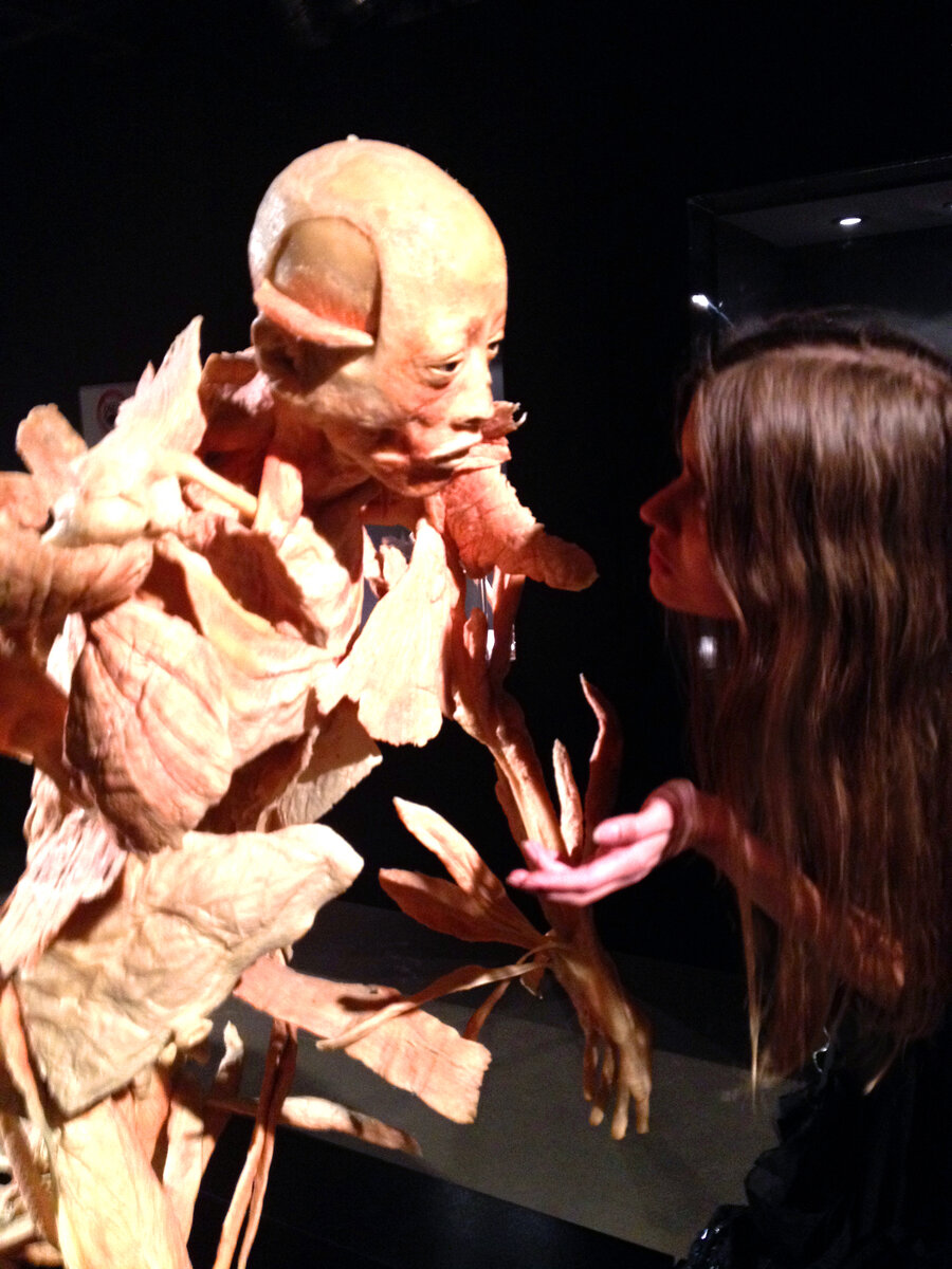 Жуткий экспонат выставки. Резекция мышц.