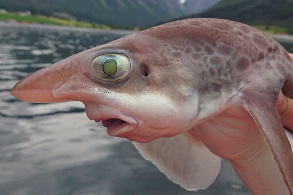 https://instagram.com/jeanett_fishing?igshid=m4vx1c9uh308