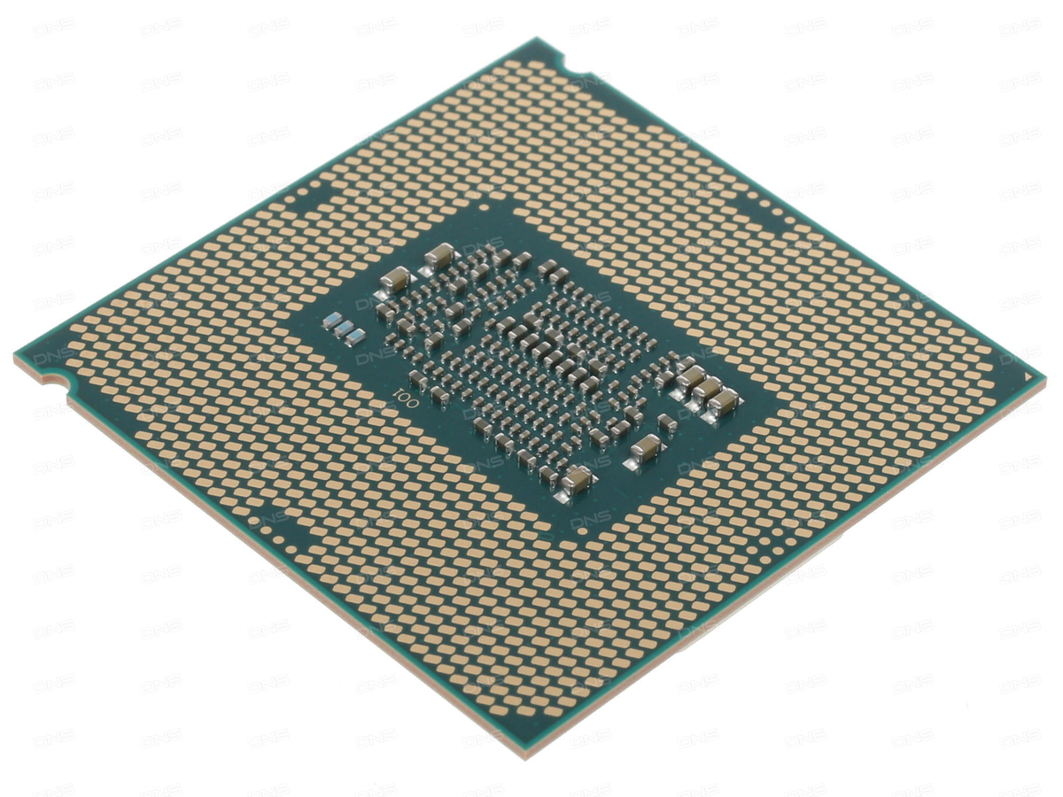 INTEL Celeron G4900