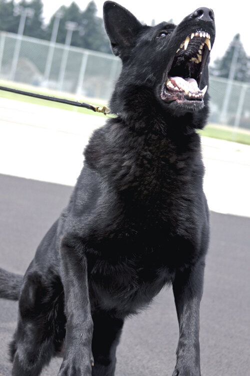 Чёрная пасть