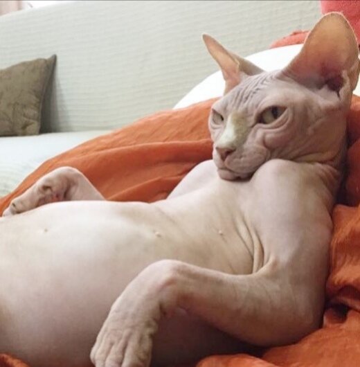 Этим все сказано