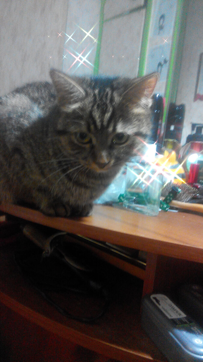 фото из архива канала: землянка Мисси