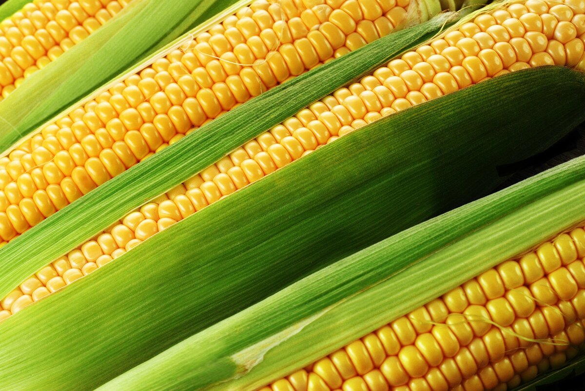 Как приготовить кукурузу за 3 минуты — вкусный и быстрый способ.