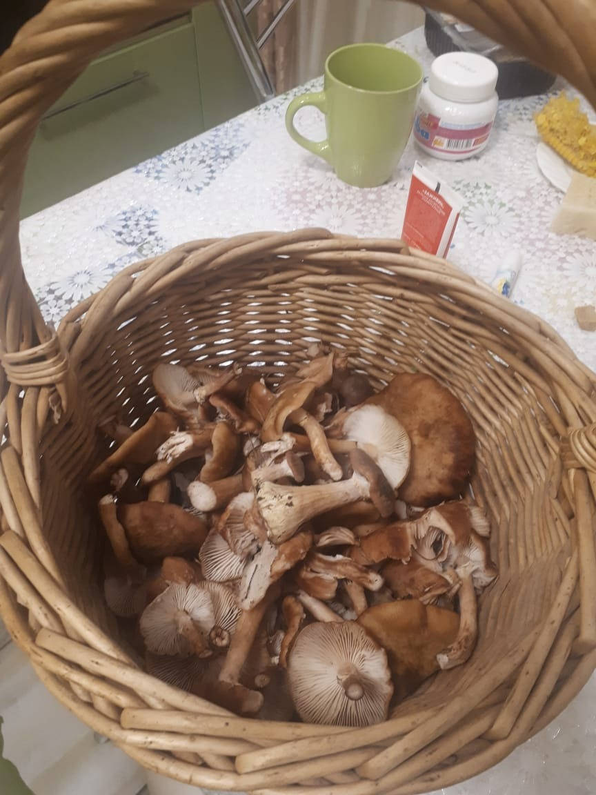 Жаль, времени мало было - можно было побольше набрать