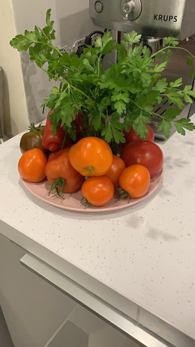 Несложный и довольно вкусный рацион в дни химиотерапии. 